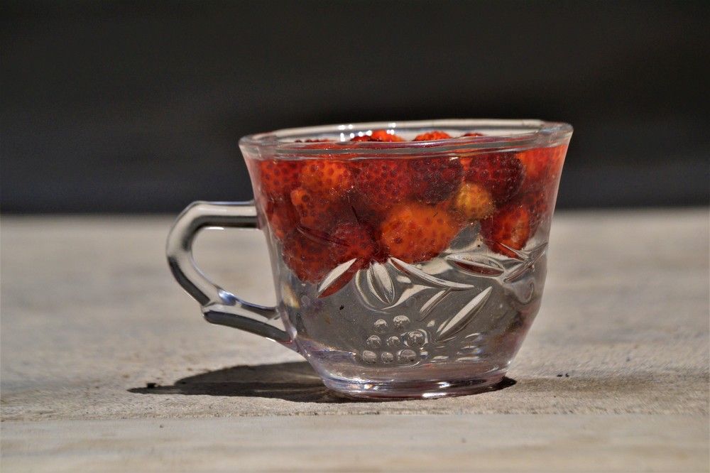 Photograph by MOHAMMAD ASHFAQ