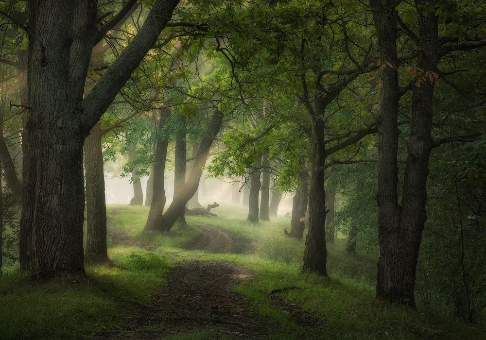 По пути уходящего лета.