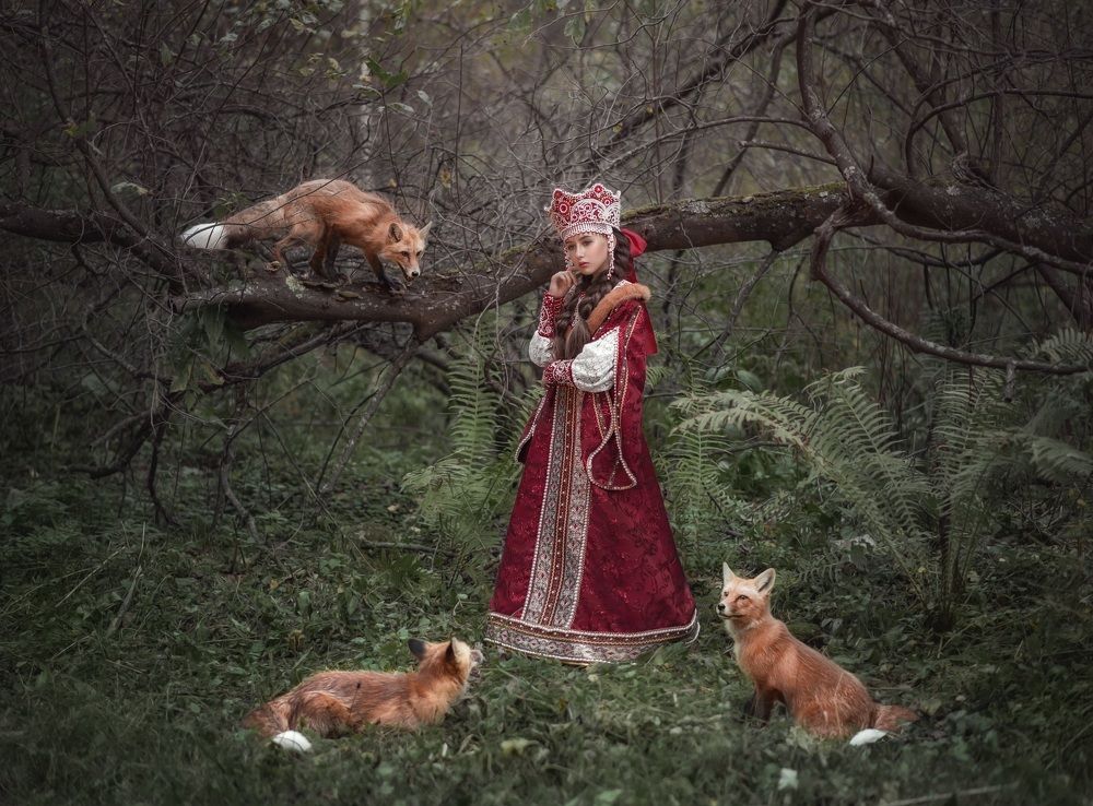 Фотография автора Софья Ознобихина