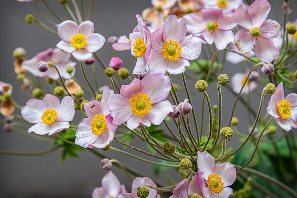 Photograph by Белов Сергей