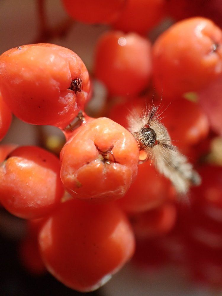 Photograph by Светлана Хамитова