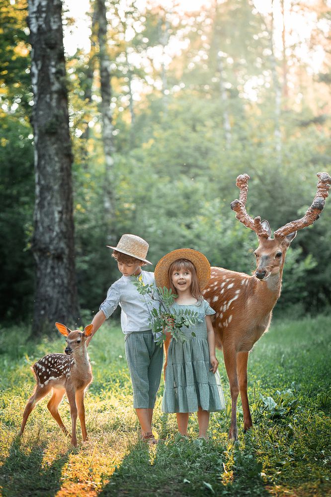 Фотография автора Владимир Кузнецов