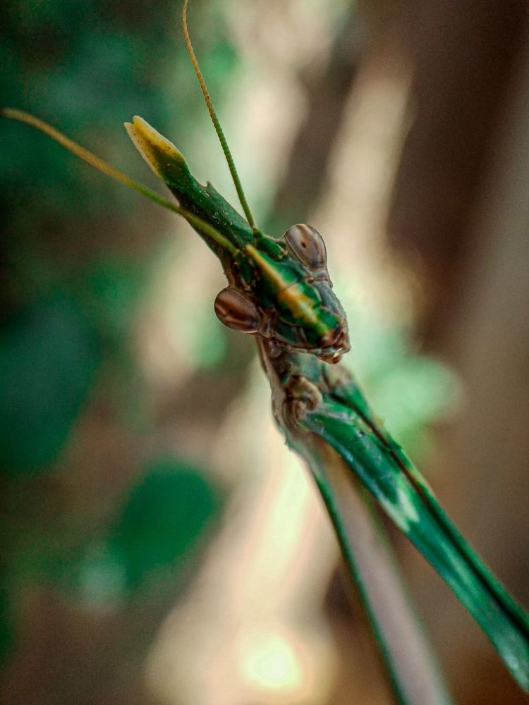 Photograph by Светлана Хамитова