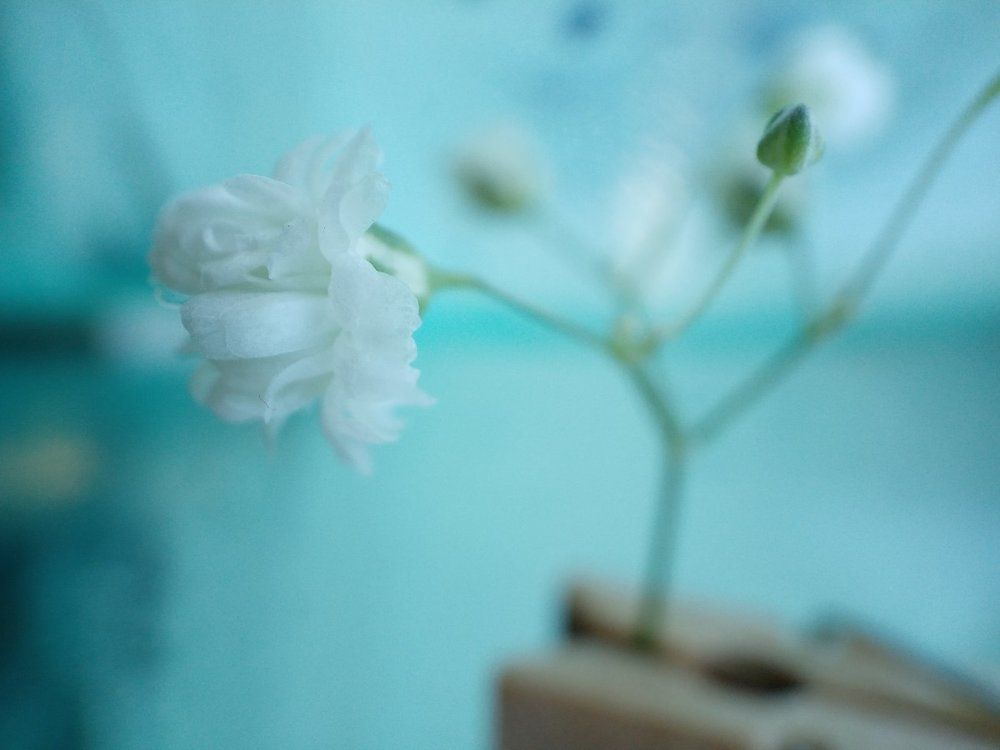 Утро. Нежность.