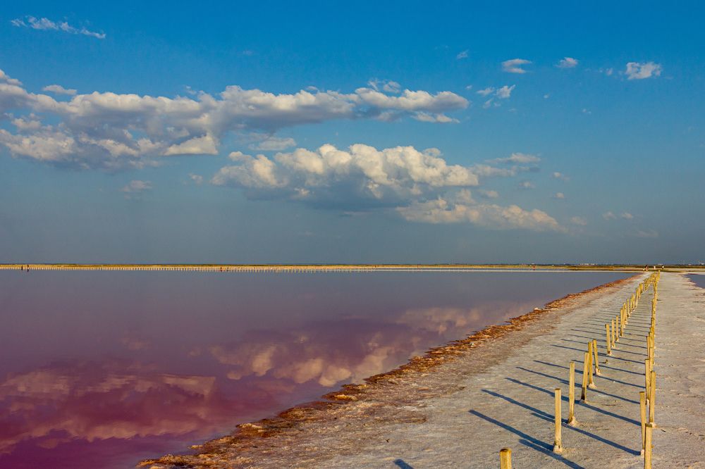 Photograph by Chic.chiquitita