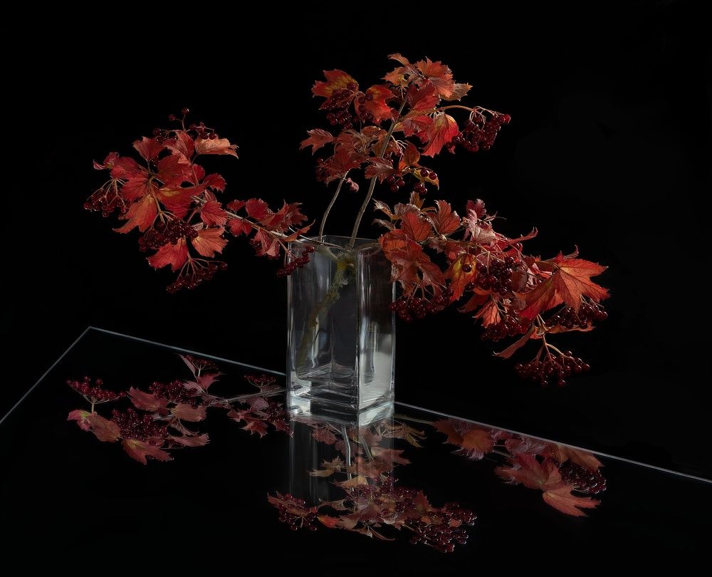 Фотография автора Валентин Черновол