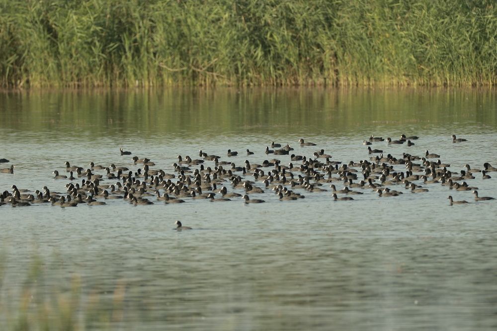 Photograph by Piotr Warzecha