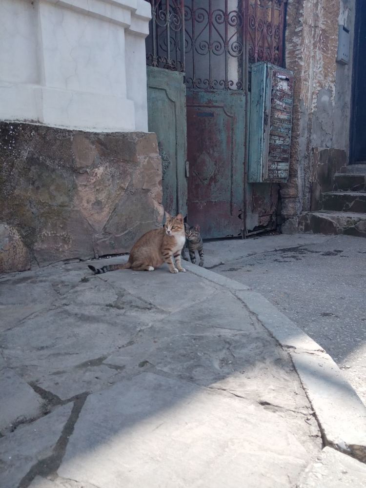 Атмосфера Крыма