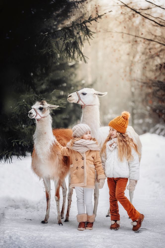 Фотография автора Владимир Кузнецов