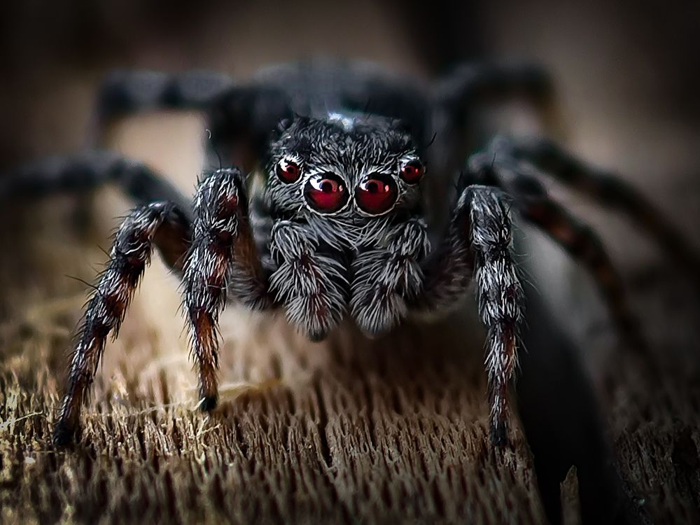 Photograph by Дмитрий Кузнецов