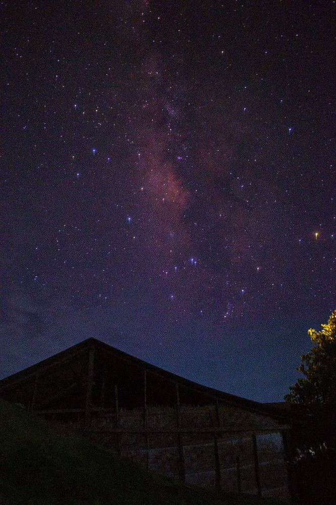 Photograph by Ayoe Naturalart