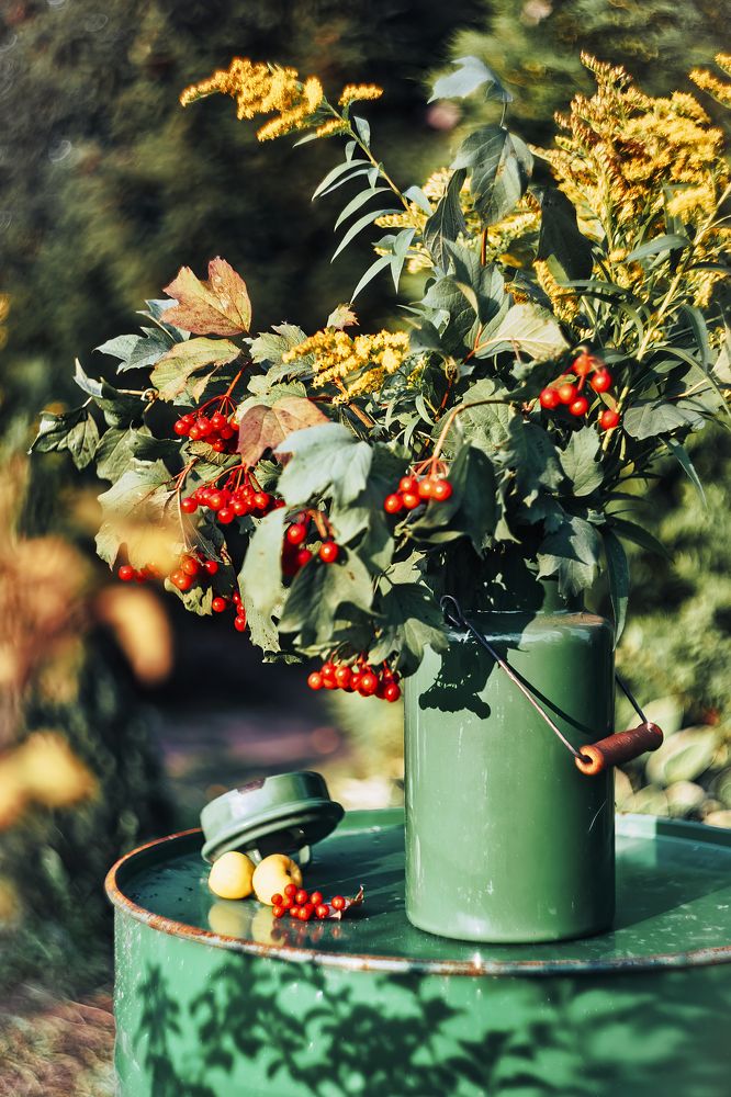 Photograph by Галина Царькова