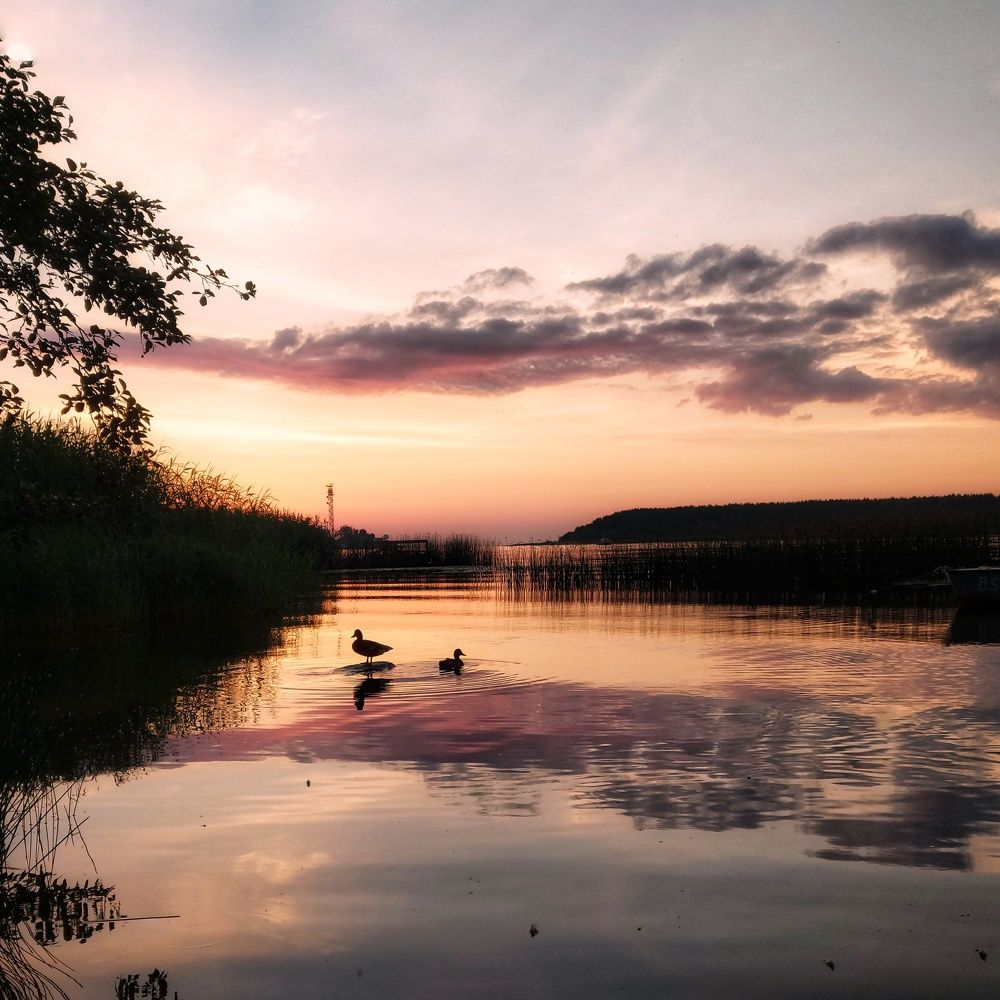 Фотография автора Alina Filimonova