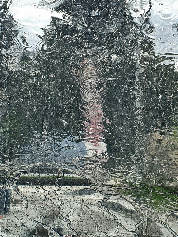 Photograph by Ksenia Ozdamar