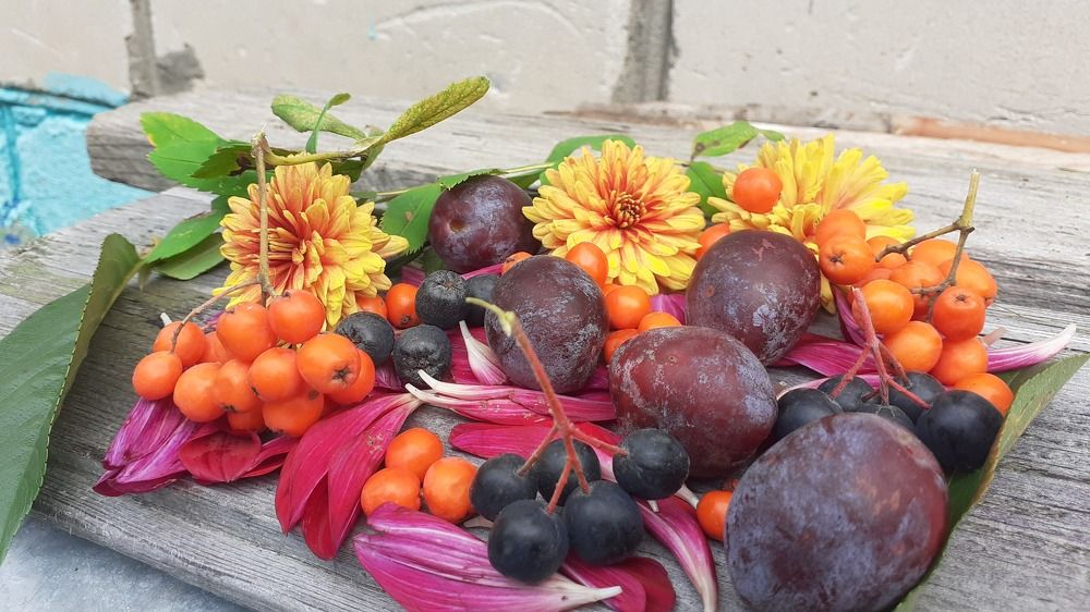 Photograph by Елена Лещева