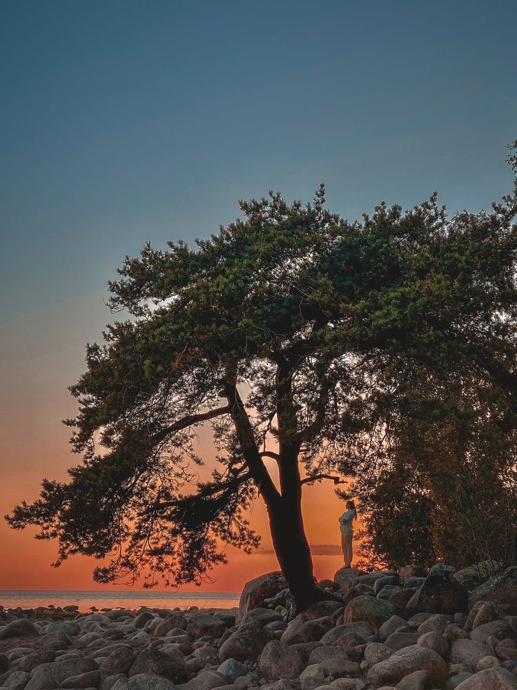 Photograph by Екатерина Николаева