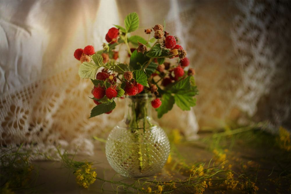 Photograph by Светлана Лехмус