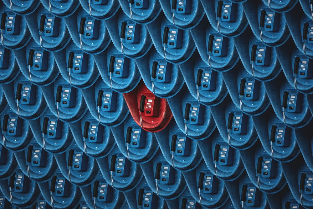 Photograph by Никита Швецов