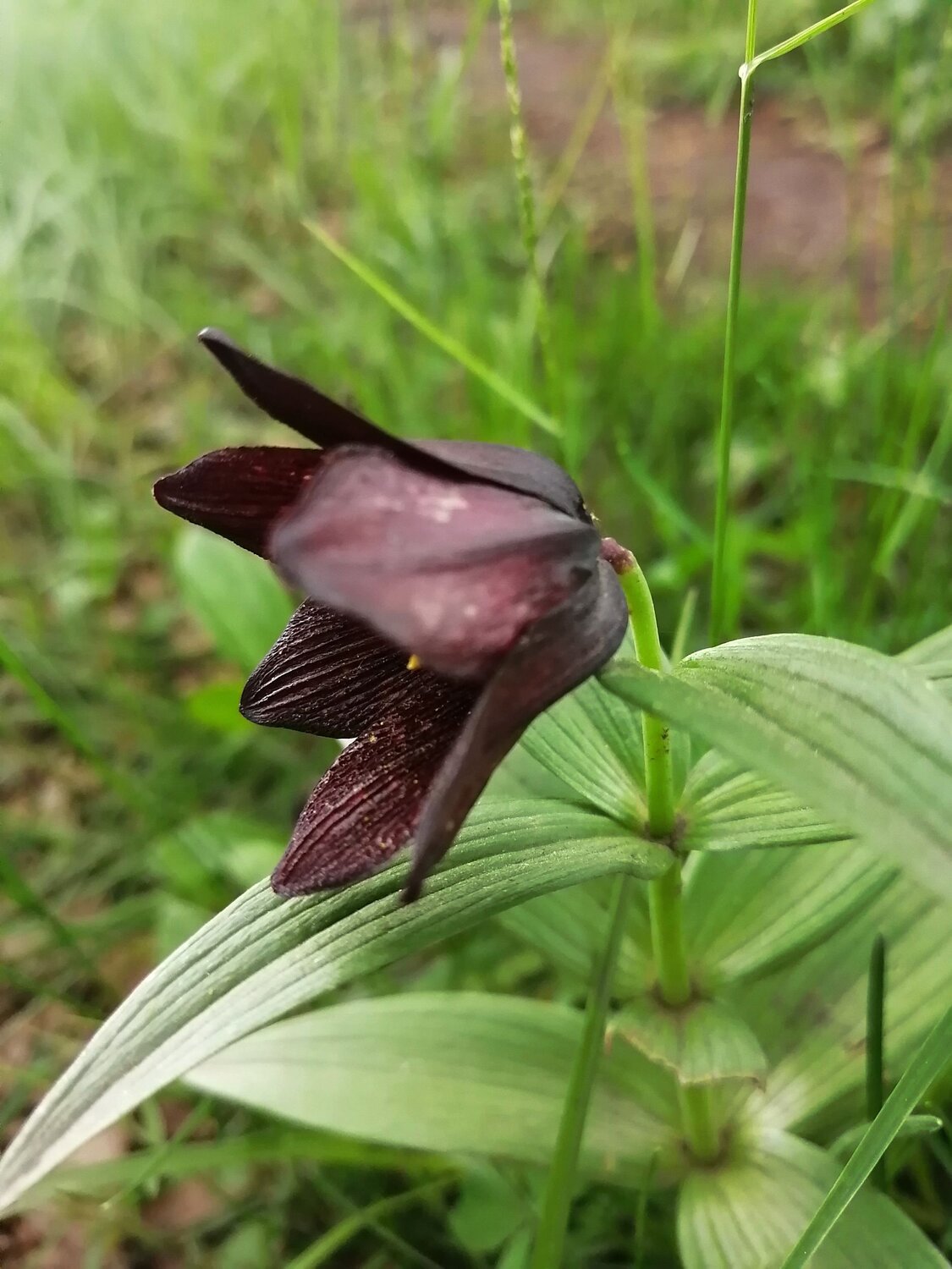 Photo #6445752