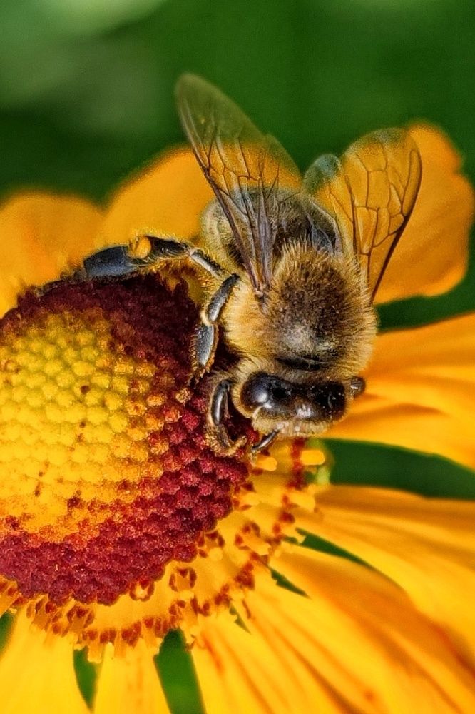 Photograph by Елена Румянцева