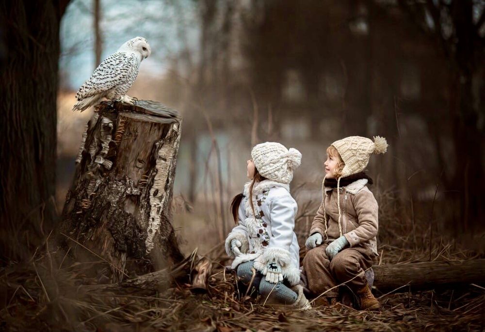 Фотография автора Ольга Трифонова