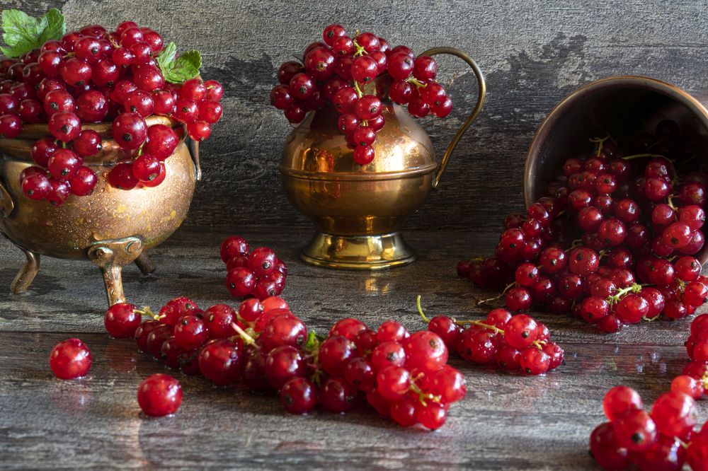 Спелые ягоды красной смородины, цветом рубиновым радуют взгляд!