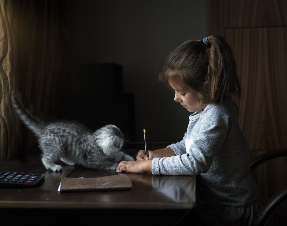 Фотография автора Сергей Сухой