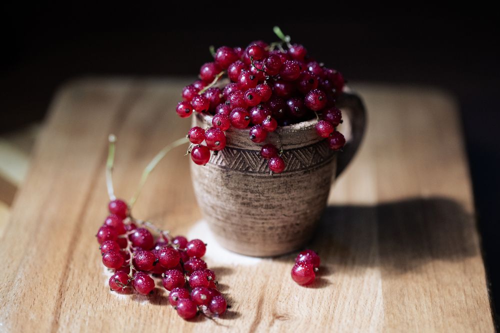 Photograph by Натали Чалык