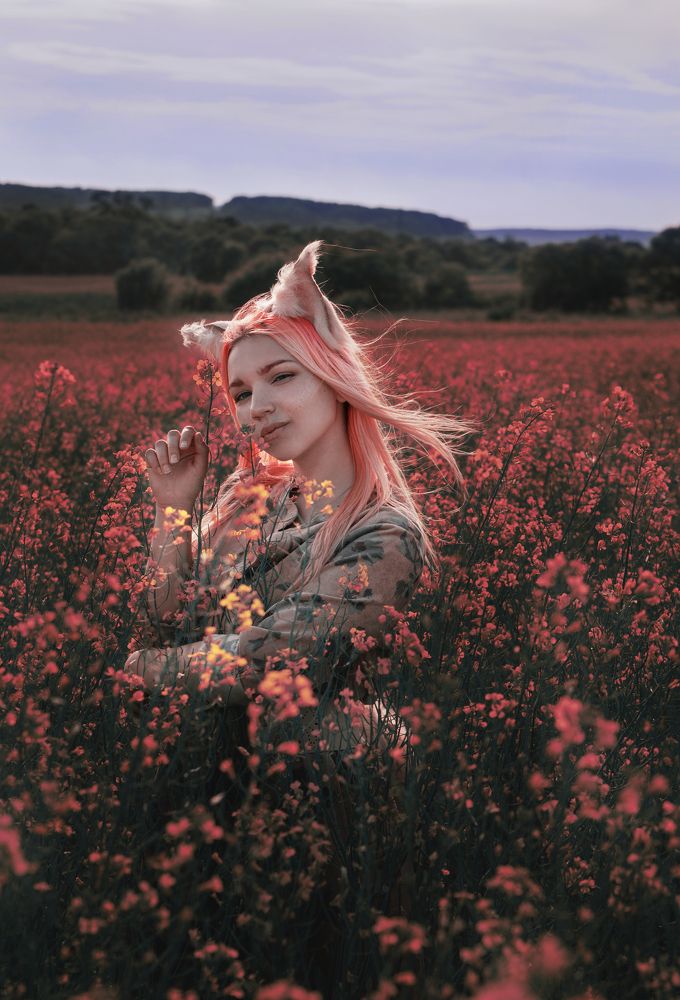 В каждой есть лиса