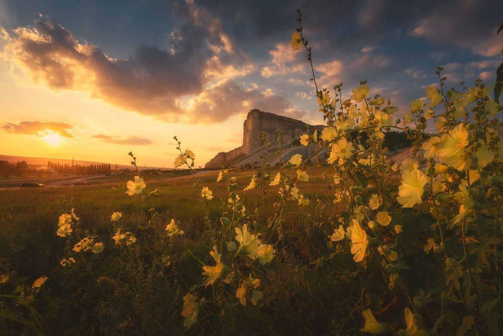 Photograph by Oleg Feofanov