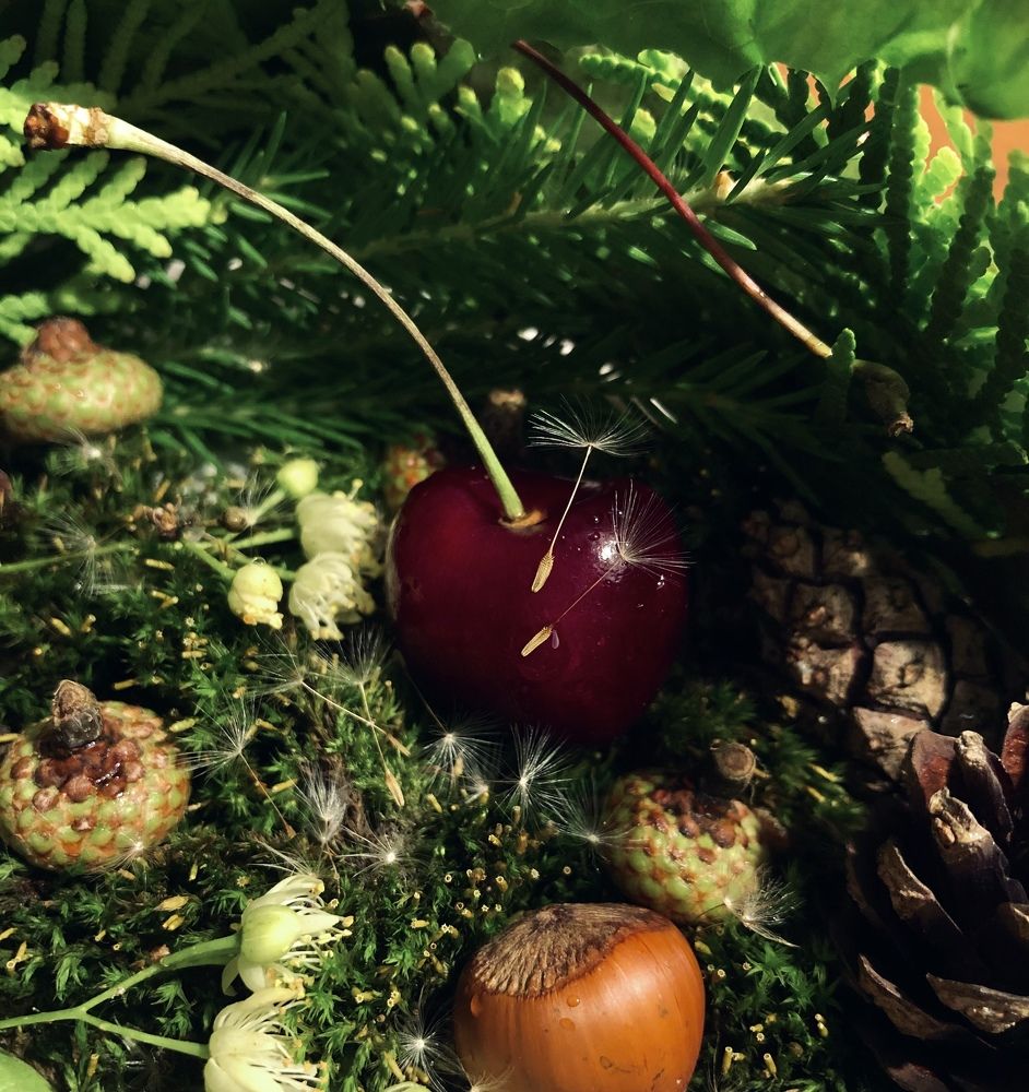 Photograph by Марина Душевина