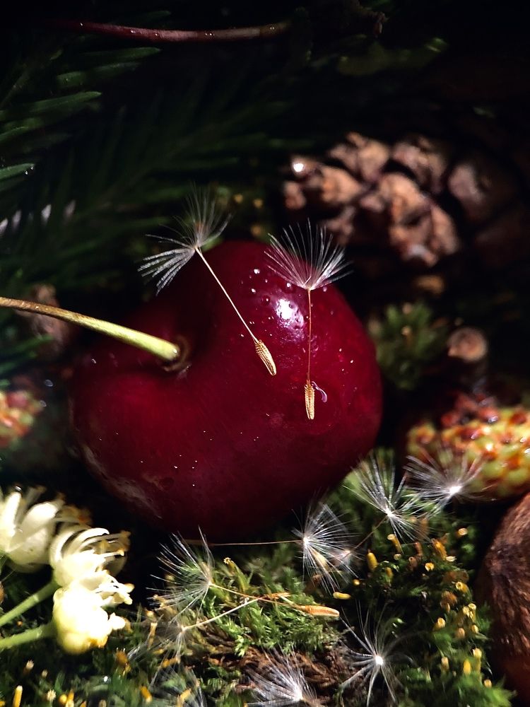 Photograph by Марина Душевина