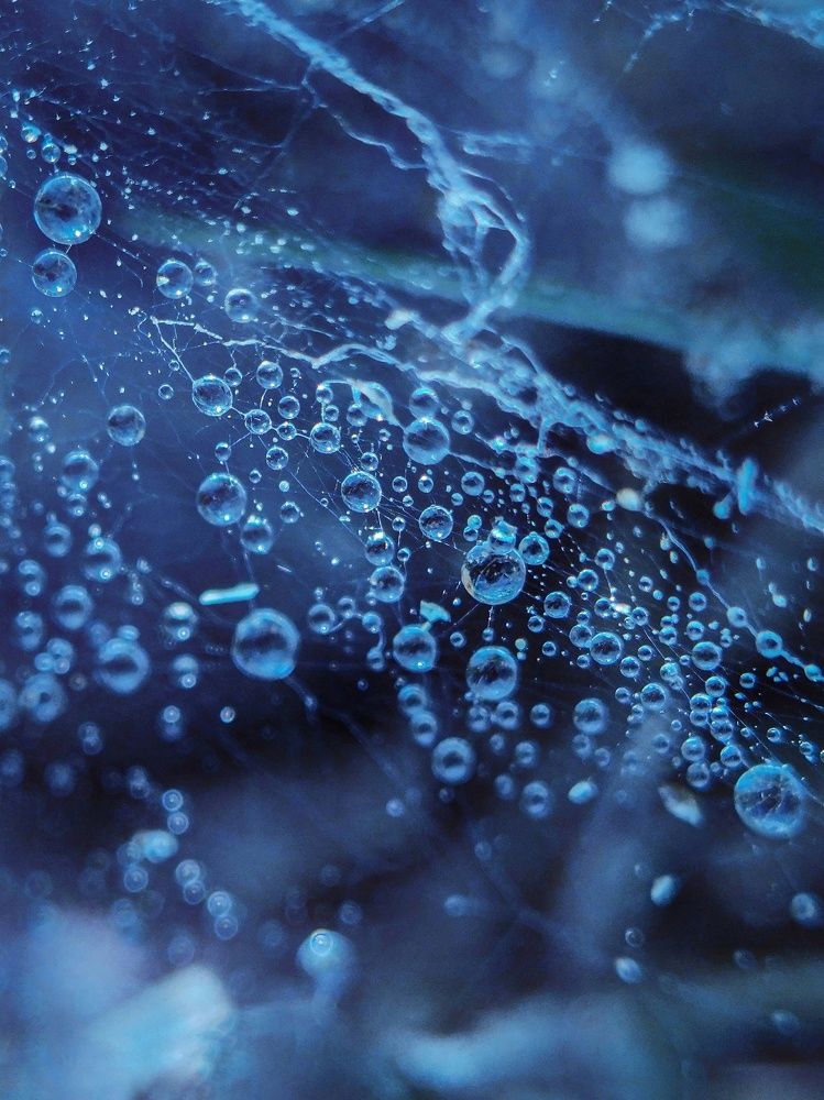 Photograph by Ayush Saroj