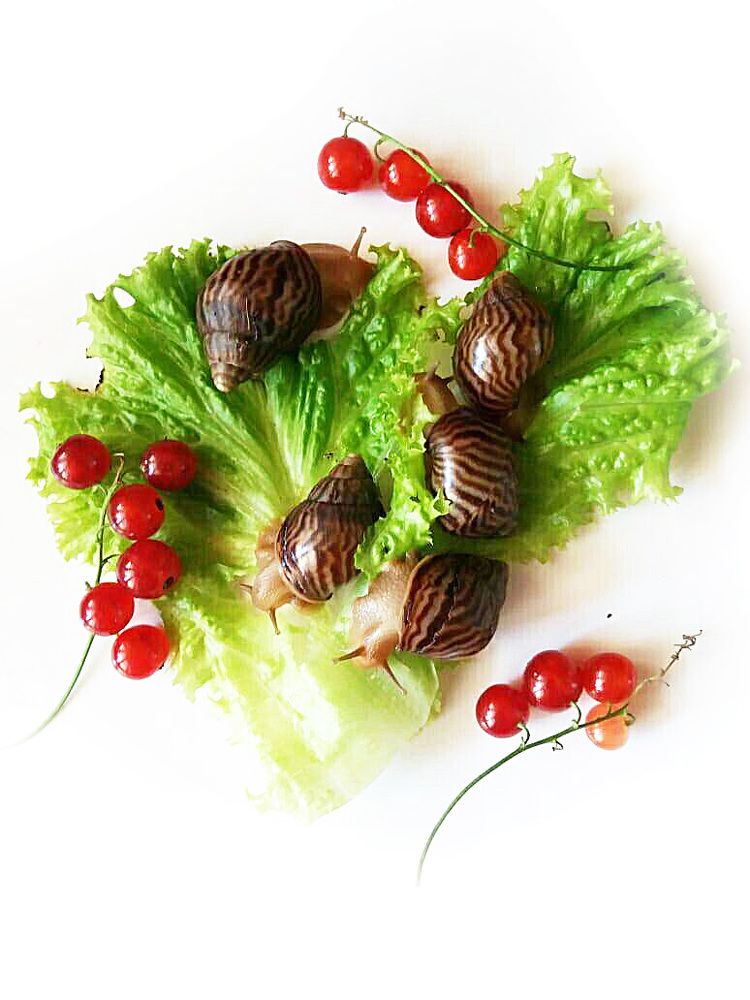 Фотография автора Владислава Андрюнина