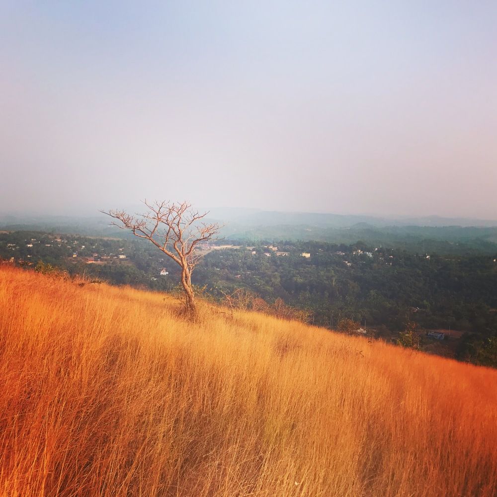 Фотография автора Naren Telluri