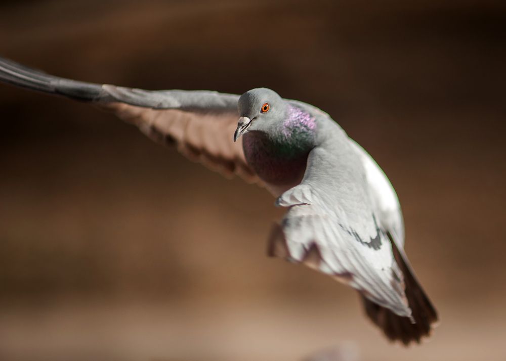 Фотография автора Юрий