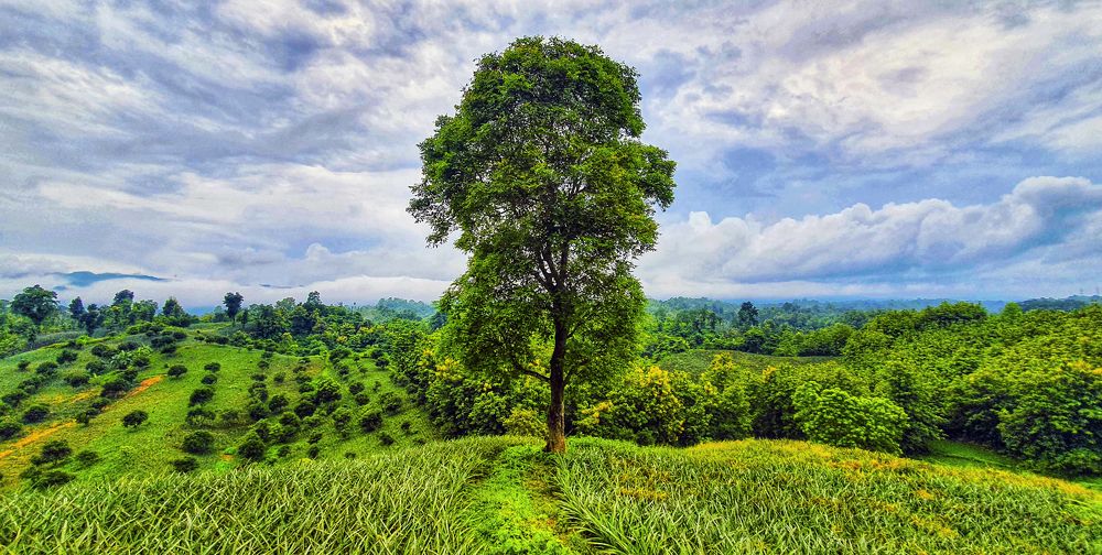 Photograph by khan avi