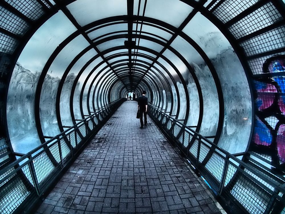 Photograph by Дмитрий Потапов