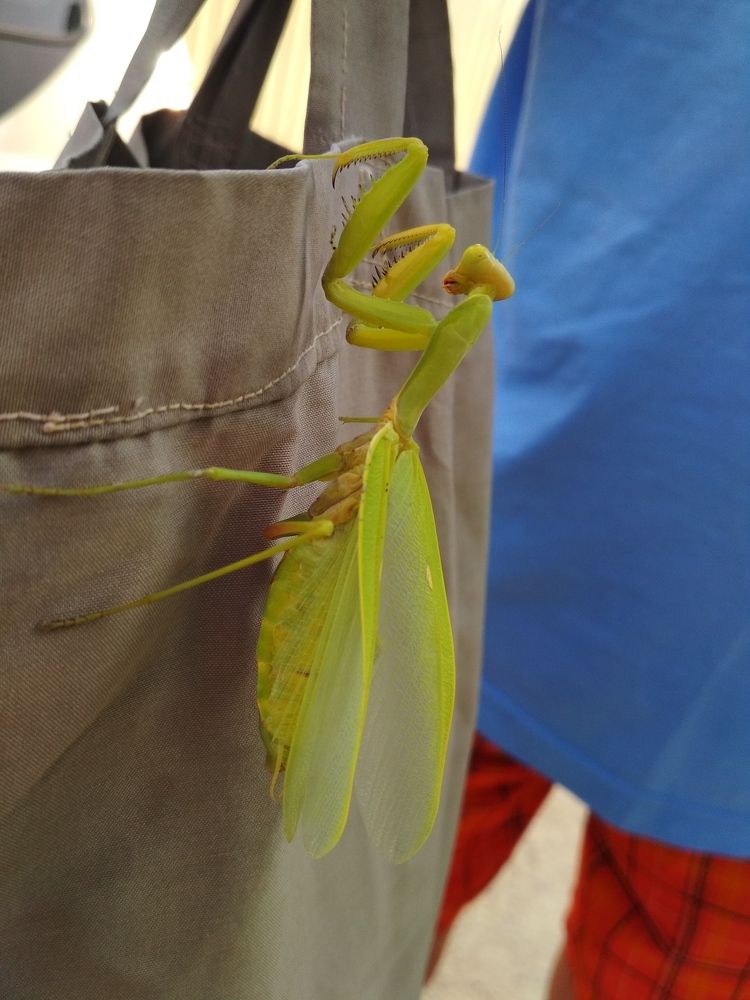 Photograph by ПЕТР ПУСТЫЛЬНИК