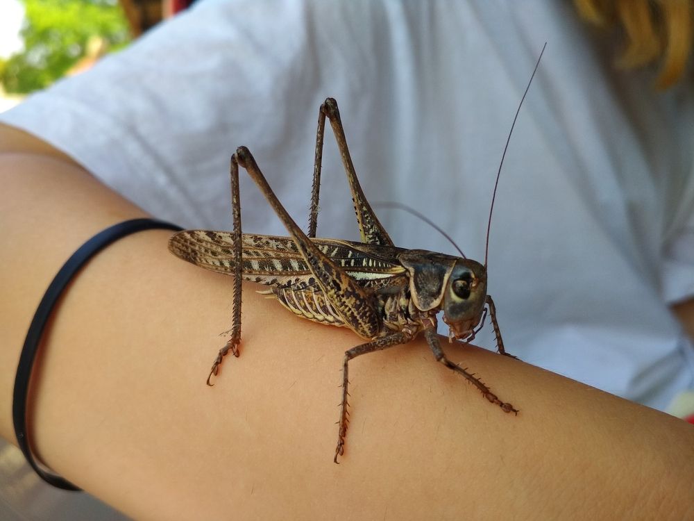 Photograph by ПЕТР ПУСТЫЛЬНИК