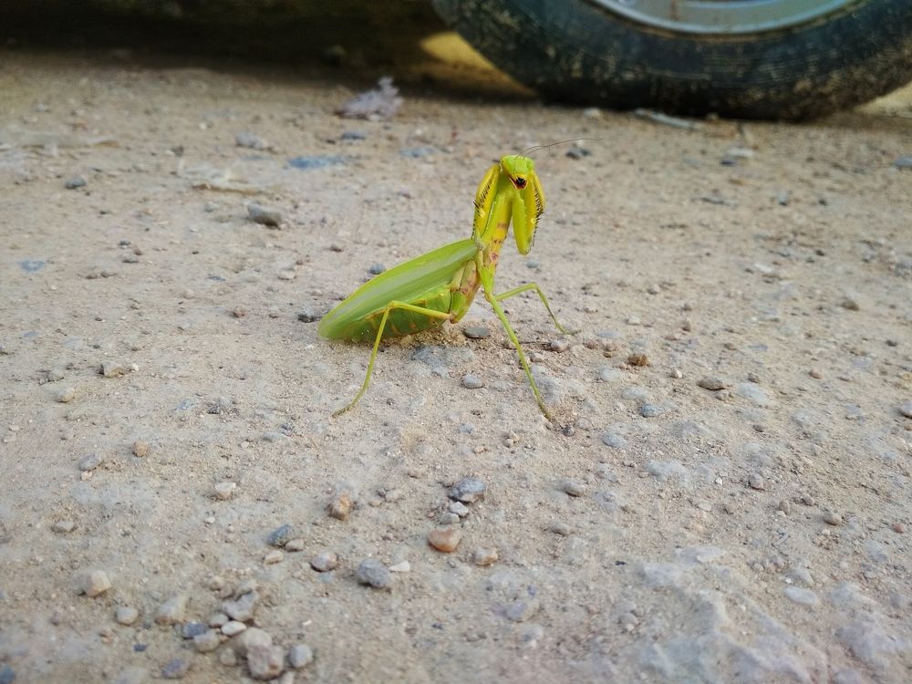 Photograph by ПЕТР ПУСТЫЛЬНИК