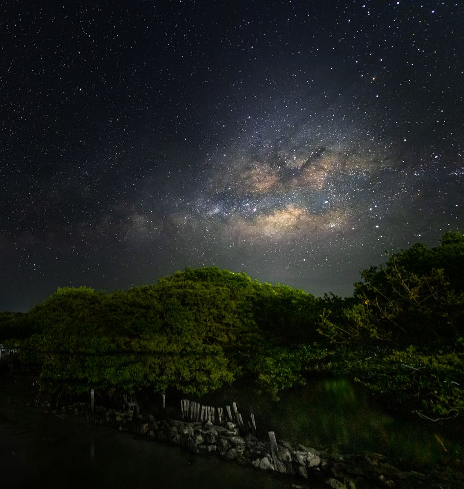 Photograph by Tita Guadalupe Elizondo