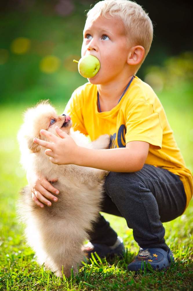 Photograph by Мarina  Klyueva