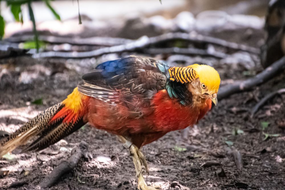 Photograph by Eduardo Vega