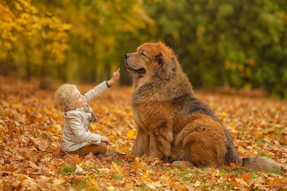 Photograph by Гимельфарб Кирилл