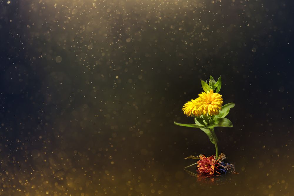 Photograph by Алексей Чечель