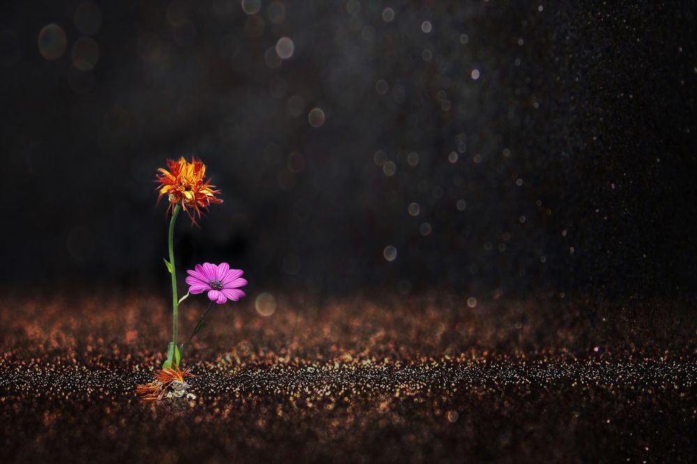 Photograph by Алексей Чечель