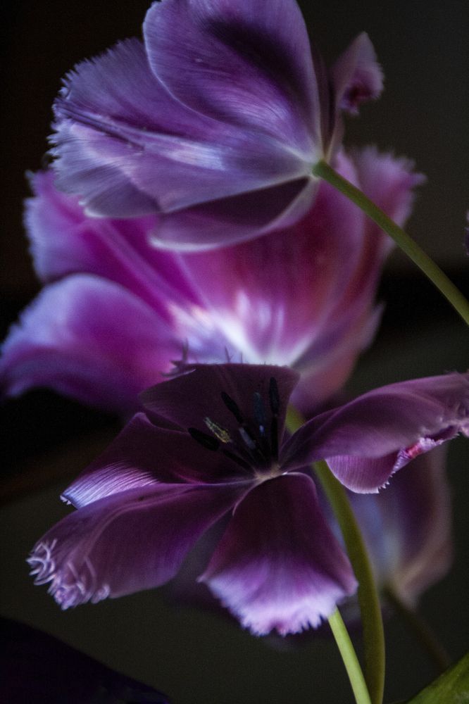 Фотография автора sose