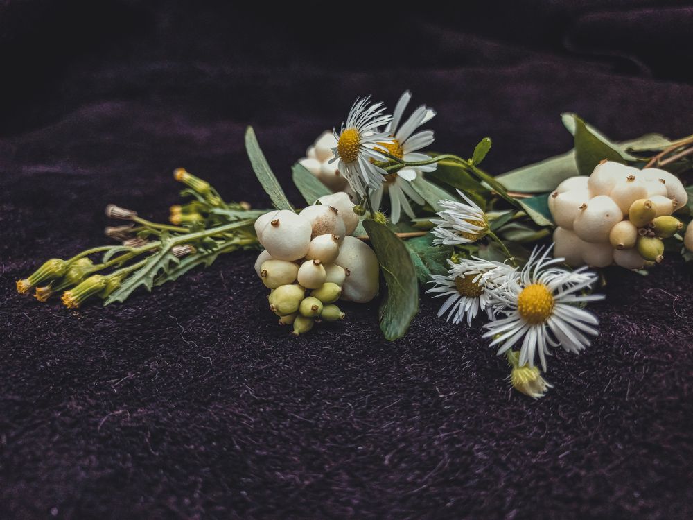 Photograph by Елена Гейман