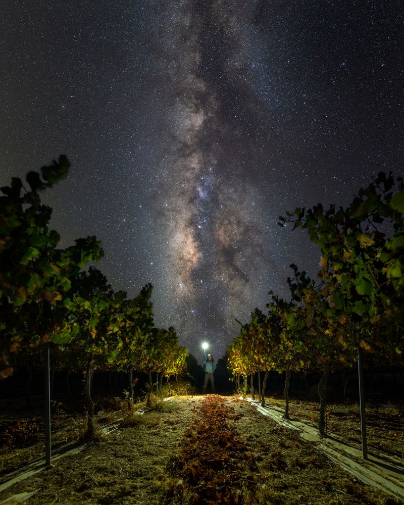 Photograph by Alexander Seleznyov